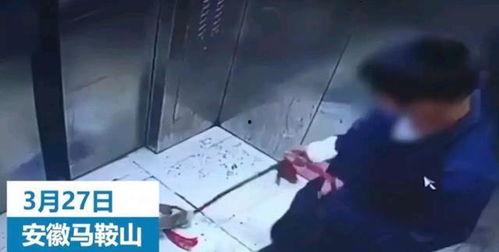 对镜爆料小男孩视频大全,揭秘小男孩视频大全的欢乐瞬间 第2张 对镜爆料小男孩视频大全,揭秘小男孩视频大全的欢乐瞬间 第2张