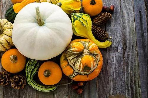 娱乐吃瓜养生,吃瓜养生两不误 第3张 娱乐吃瓜养生,吃瓜养生两不误 第3张